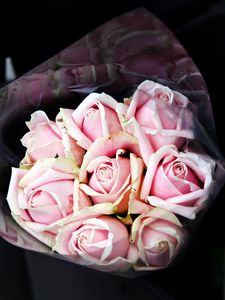 Preview wallpaper roses, bouquet, pink