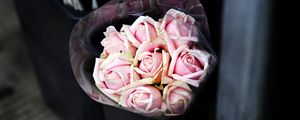 Preview wallpaper roses, bouquet, pink