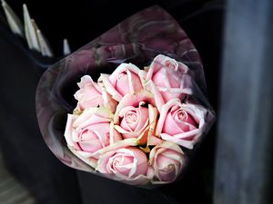 Preview wallpaper roses, bouquet, pink