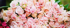 Preview wallpaper roses, bouquet, pink, tenderness, gift
