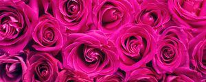 Preview wallpaper roses, bouquet, pink, buds, flowers