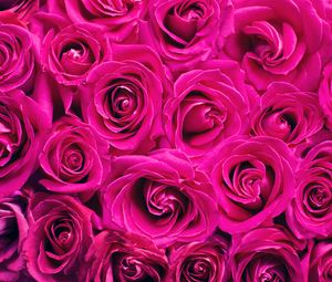 Preview wallpaper roses, bouquet, pink, buds, flowers