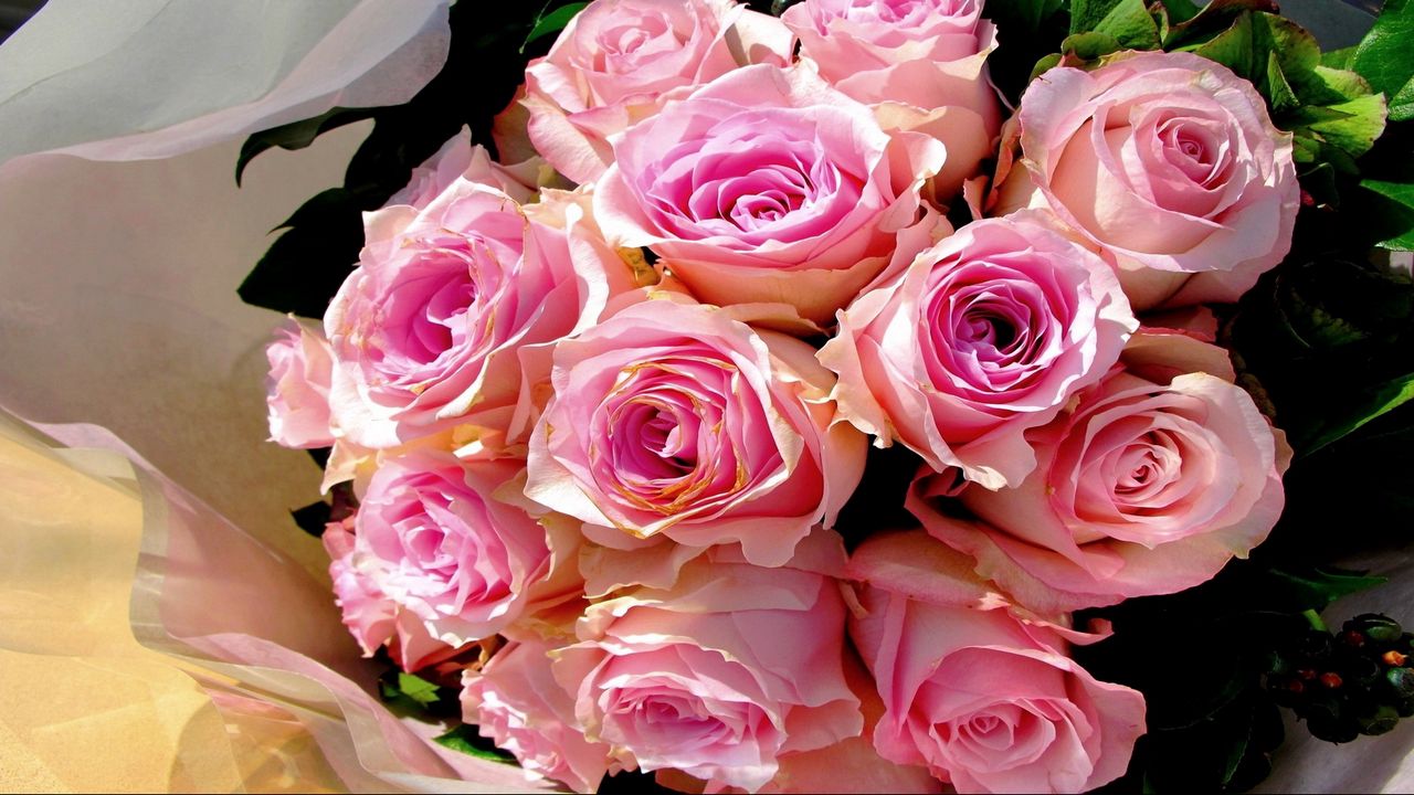 Wallpaper roses, bouquet, pink, design