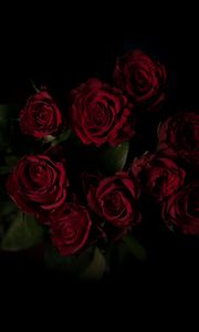 Preview wallpaper roses, bouquet, red, dark background