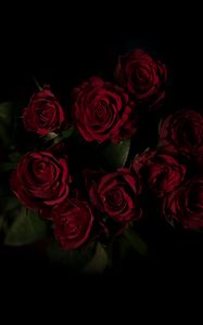 Preview wallpaper roses, bouquet, red, dark background