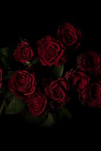 Preview wallpaper roses, bouquet, red, dark background