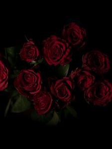 Preview wallpaper roses, bouquet, red, dark background