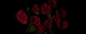 Preview wallpaper roses, bouquet, red, dark background