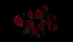 Preview wallpaper roses, bouquet, red, dark background