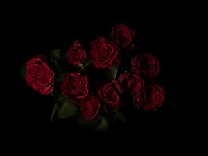 Preview wallpaper roses, bouquet, red, dark background