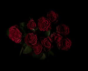 Preview wallpaper roses, bouquet, red, dark background