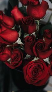 Preview wallpaper roses, bouquet, red, petals