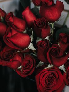 Preview wallpaper roses, bouquet, red, petals