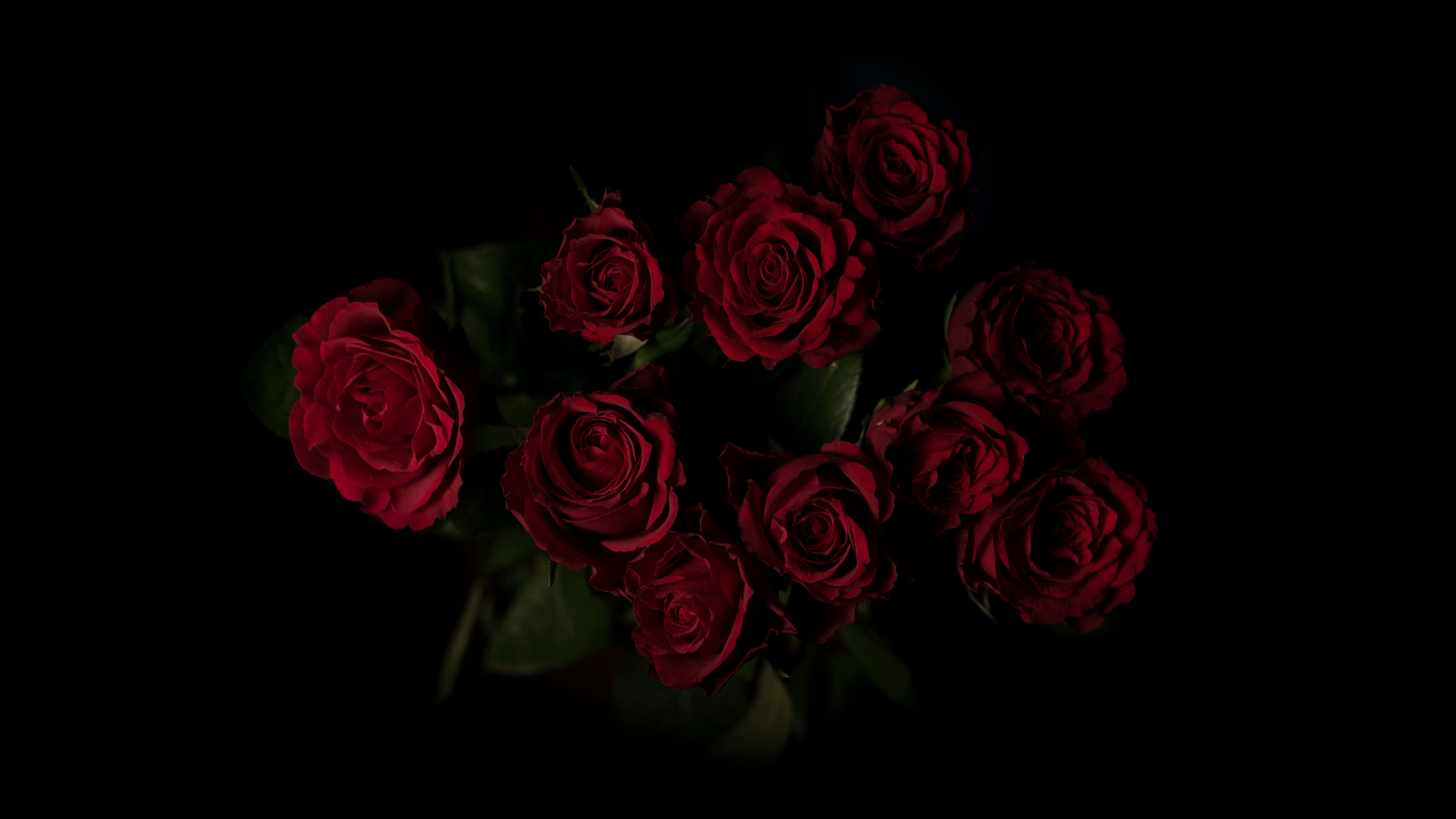 Download wallpaper 3840x2160 roses, bouquet, red, dark background 4k ...