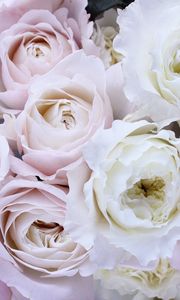 Preview wallpaper roses, bouquet, tenderness