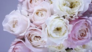 Preview wallpaper roses, bouquet, tenderness