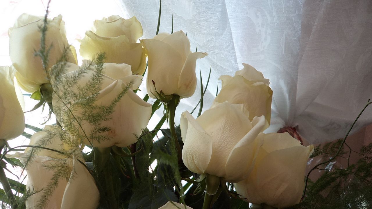 Wallpaper roses, bouquet, white