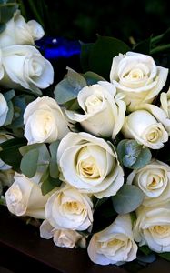 Preview wallpaper roses, bouquets, flowers, white, beautiful