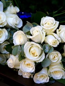 Preview wallpaper roses, bouquets, flowers, white, beautiful