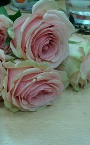 Preview wallpaper roses, bouquets, table, petals