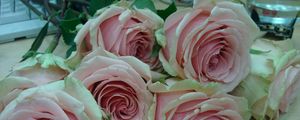 Preview wallpaper roses, bouquets, table, petals