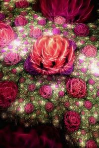 Preview wallpaper roses, buds, colorful, leaves, fractal