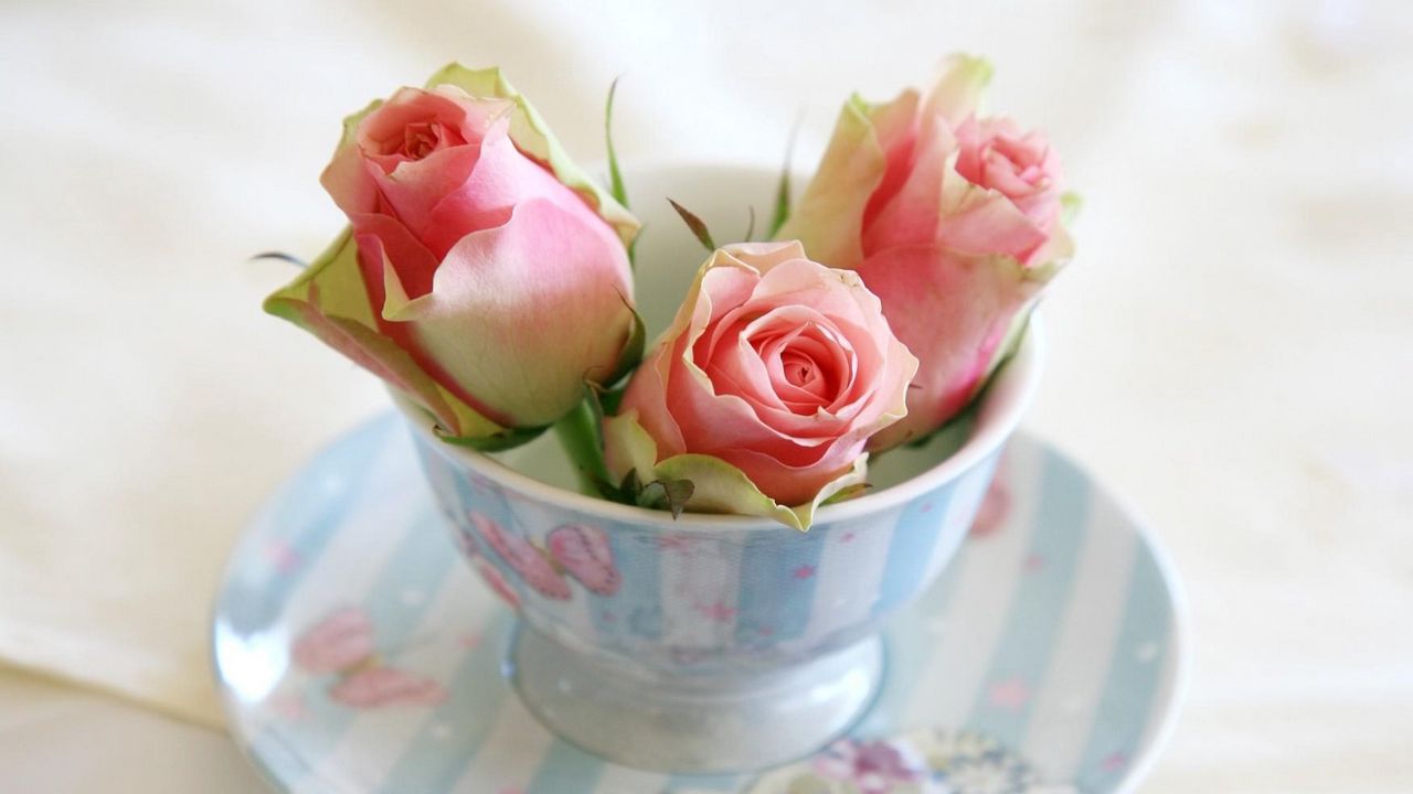 Wallpaper roses, buds, cup, saucer