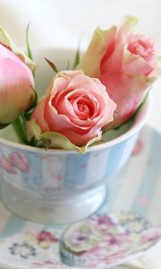 Preview wallpaper roses, buds, cup, saucer