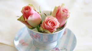 Preview wallpaper roses, buds, cup, saucer
