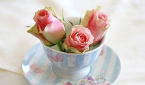 Preview wallpaper roses, buds, cup, saucer