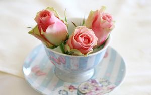 Preview wallpaper roses, buds, cup, saucer