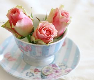 Preview wallpaper roses, buds, cup, saucer