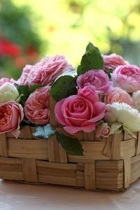 Preview wallpaper roses, buds, flowers, basket, beauty