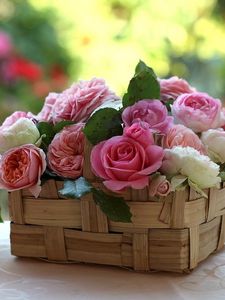 Preview wallpaper roses, buds, flowers, basket, beauty