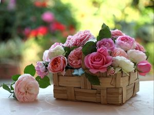 Preview wallpaper roses, buds, flowers, basket, beauty