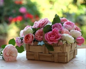 Preview wallpaper roses, buds, flowers, basket, beauty