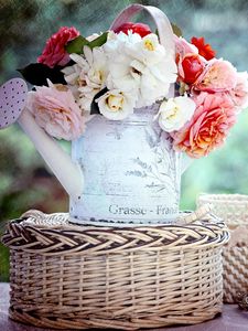 Preview wallpaper roses, buds, garden, flower, watering can, basket