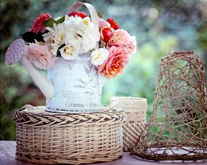 Preview wallpaper roses, buds, garden, flower, watering can, basket