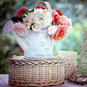 Preview wallpaper roses, buds, garden, flower, watering can, basket