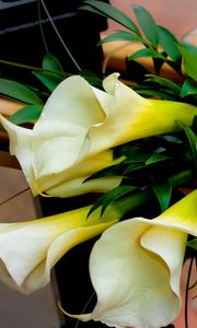 Preview wallpaper roses, calla lilies, flowers, bouquet, decoration, beautiful
