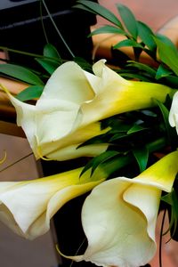 Preview wallpaper roses, calla lilies, flowers, bouquet, decoration, beautiful