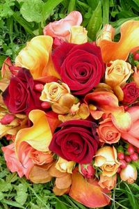 Preview wallpaper roses, calla lilies, orchids, flowers, flower, grass