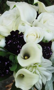 Preview wallpaper roses, calla lilies, white, flowers, bouquets, composition