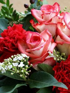 Preview wallpaper roses, carnations, flowers, bouquet, leaves