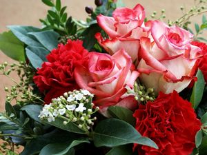 Preview wallpaper roses, carnations, flowers, bouquet, leaves