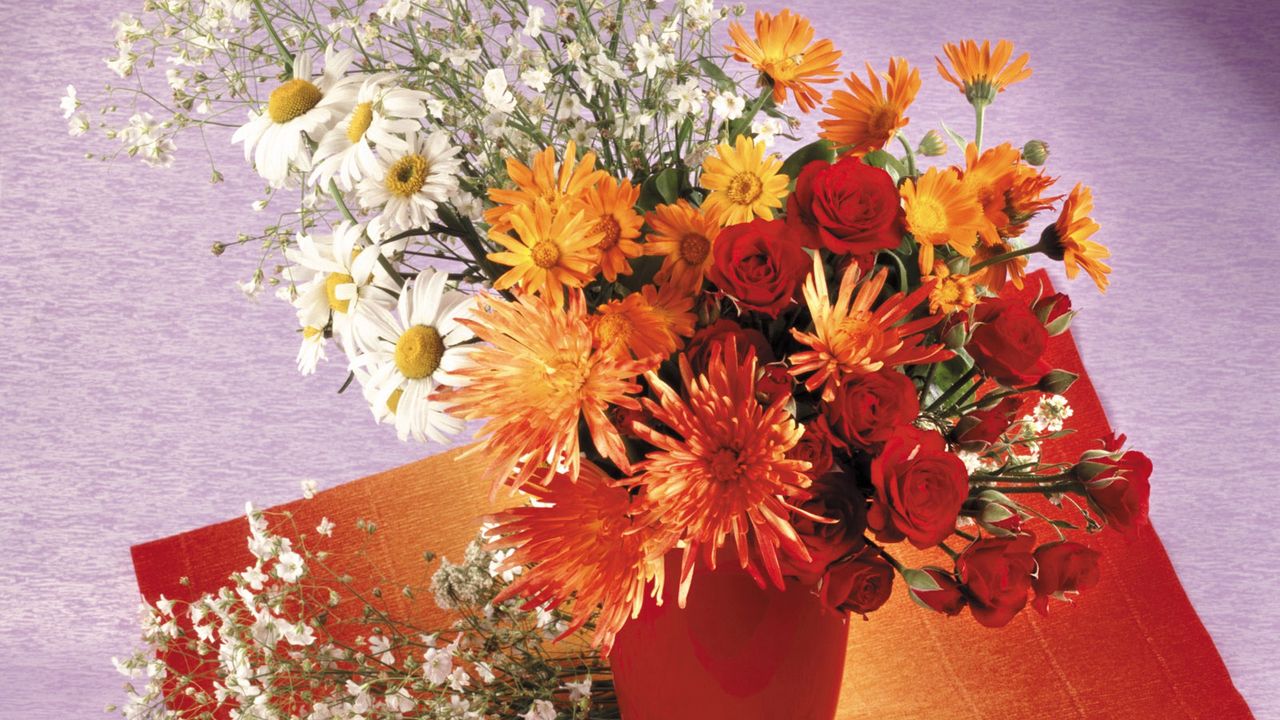 Wallpaper roses, chrysanthemums, daisies, vase