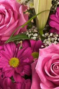 Preview wallpaper roses, chrysanthemums, gypsophila, bouquet, close-up