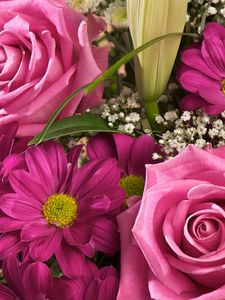 Preview wallpaper roses, chrysanthemums, gypsophila, bouquet, close-up