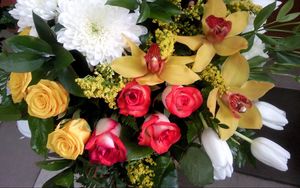 Preview wallpaper roses, chrysanthemums, orchids, tulips, flowers, bouquets, greens, beautifully
