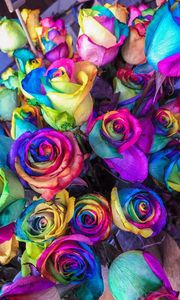 Preview wallpaper roses, colorful, bouquet, colourful